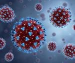 Does SARS-CoV-2 infection contribute to adrenal gland dysfunction?