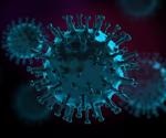 New insights offered into cell-to-cell propagation of SARS-CoV-2
