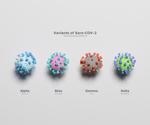 A test to identify antibody effectiveness against COVID-19 variants