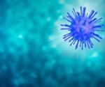 MV130 immunotherapy boosts natural and vaccine-induced SARS-CoV-2 immunity in mice