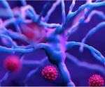 Even mild SARS-CoV-2 respiratory-only infection can cause long-term neurologic damage