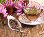 Echinacea as a potential force against coronavirus infections
