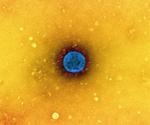 Nirmatrelvir, Molnupiravir, and Remdesivir hold-up against SARS-CoV-2 Omicron variant in vitro