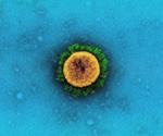An algorithm to predict host cleavage targets of SARS-CoV-2 3CLPro