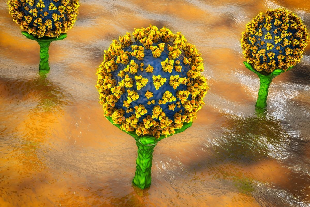 Image Credit: In Silico Analysis Of The Effects Of Omicron Spike Amino Acid Changes On The Interactions With Human ACE2 Receptor And Structurally Characterized Complexes With Human Antibodies. Image Credit: Kateryna Kon/Shutterstock