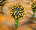 Effects of the Omicron spike amino acid changes in the interaction with human ACE2 receptor or human antibodies