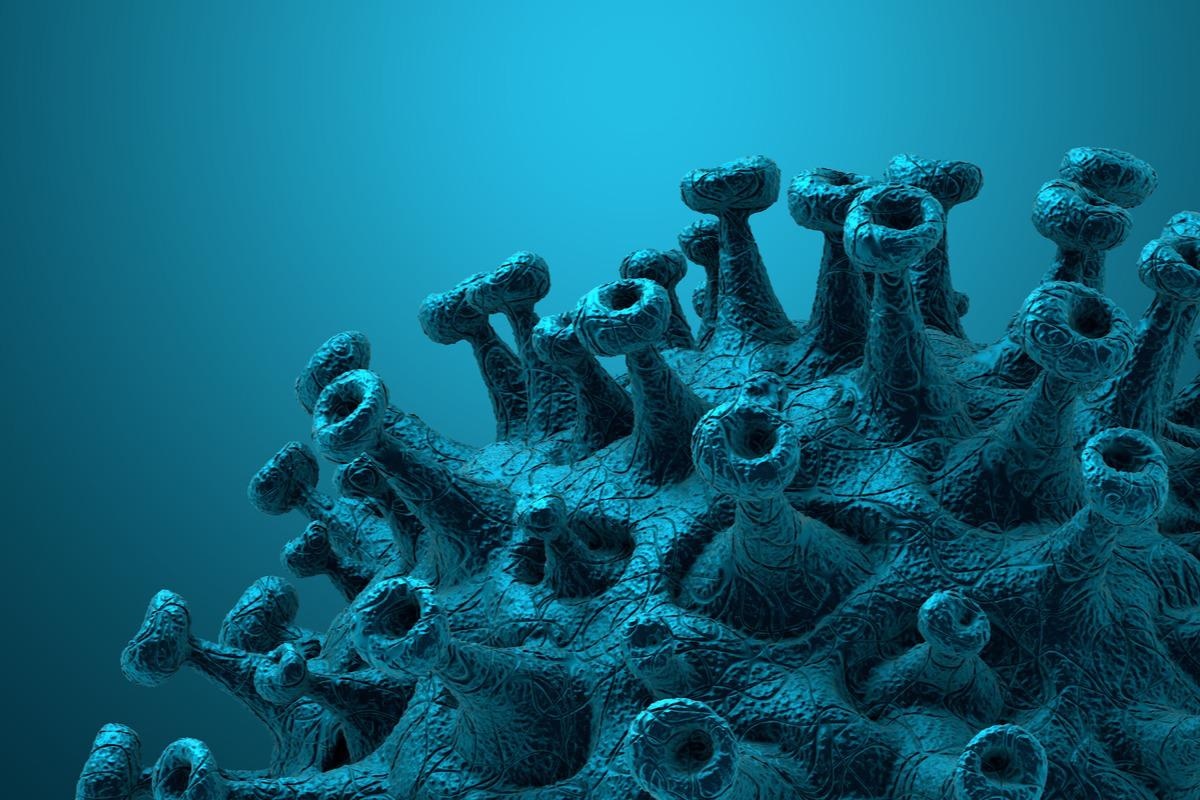 Study: Using multiple sampling strategies to estimate SARS-CoV-2 epidemiological parameters from genomic sequencing data. Image Credit: CROCOTHERY/Shutterstock