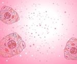 Scientists identify multi-kinase inhibitors that can effectively block SARS-CoV-2-mediated cytokine release