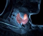 Study looks at potential impact of BBIBPCorV and CoronaVac SARS-CoV-2 vaccines on thyroid