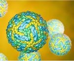 Antiviral potential of N-acylethanolamine acid amide hydrolase against SARS-CoV-2 and Zika virus