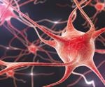 Mapping cells to understand vascular disease