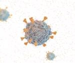 Research identifies differences between Omicron lineages BA.1 and BA.2