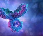 Using IgG antibody assay to Identify natural SARS-CoV-2 infection in vaccinees