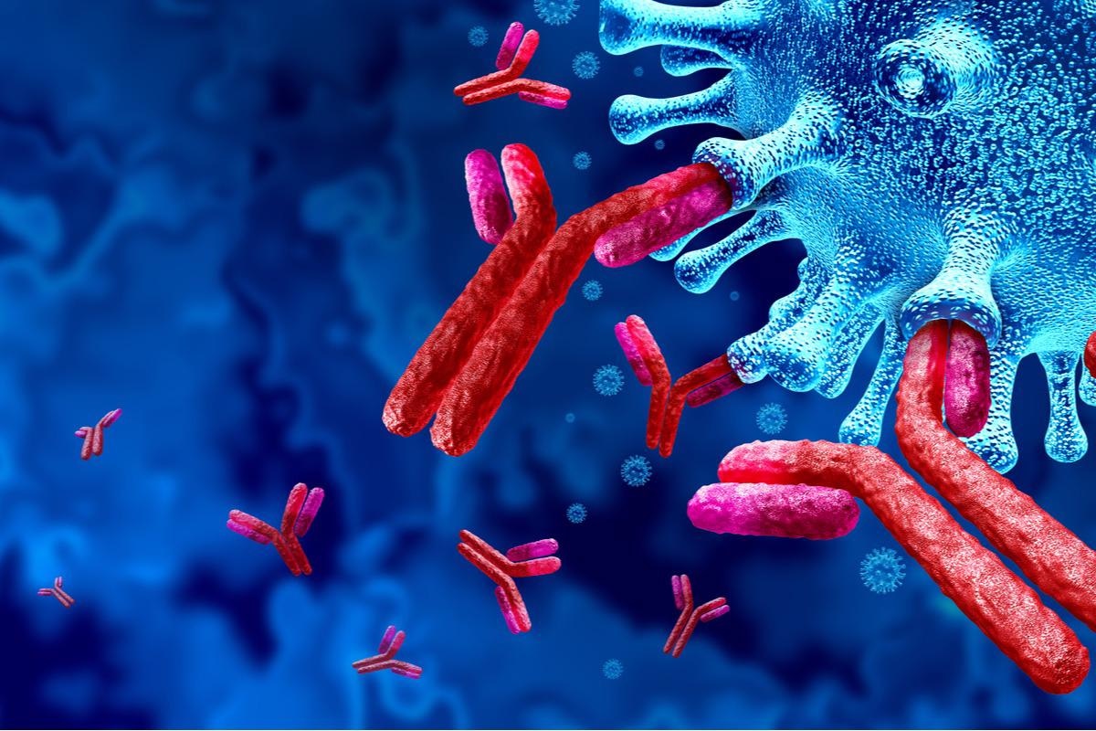 Study: Dynamics of SAR-CoV2 Viral Load Decline and Antibody Responses in COVID-19 Patients. Image Credit: Lightspring/Shutterstock