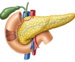 Study explores the impact of COVID-19 on pancreatic cells