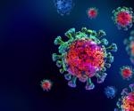 Study proposes SARS-CoV-2-encoded peptide presented by HLA-E may suppress inhibition of natural killer cells