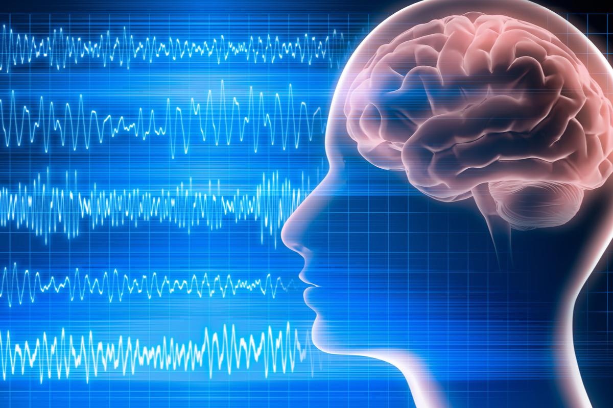 Study: Enhanced Interplay of Neuronal Coherence and Coupling in the Dying Human Brain. Image Credit: peterschreiber.media/Shutterstock