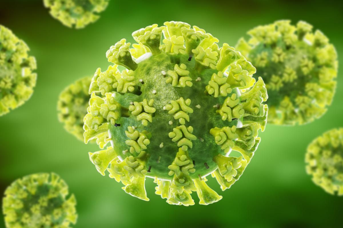 Study: Omicron and Alpha P680H block SARS-CoV2 spike protein from accessing cholinergic inflammatory pathway via α9-nAChR mitigating the risk of MIS-C. Image Credit: SciePro/Shutterstock
