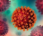 SARS-CoV-2 protein interactions with viral and host RNAs in authentic virus-infected cells