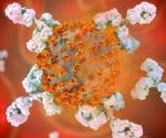 Binding efficacy of SARS-CoV-2 S1 specific salivary antibodies to the Omicron and Delta variants