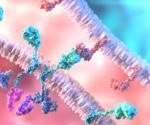 CAR T-Cell Therapy: The Future of Cancer and HIV Treatment?