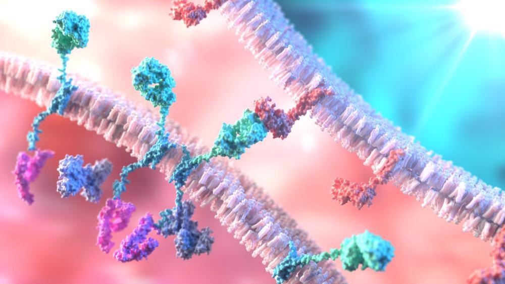 CAR T-Cell Therapy