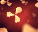 Study isolated largest panel of β-CoV broadly neutralizing antibodies to date