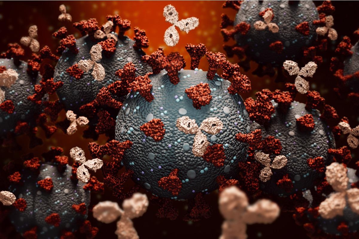 Study: Potent universal-coronavirus therapeutic activity mediated by direct respiratory administration of a Spike S2 domain-specific human neutralizing monoclonal antibody. Image Credit: MattLphotography/Shutterstock