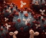 Potent pan-β-CoV human monoclonal antibody has in vivo activity in multiple animal models