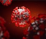 Identification of linear B cell epitopes in the SARS-CoV-2 proteome that are conserved in humans coronaviruses