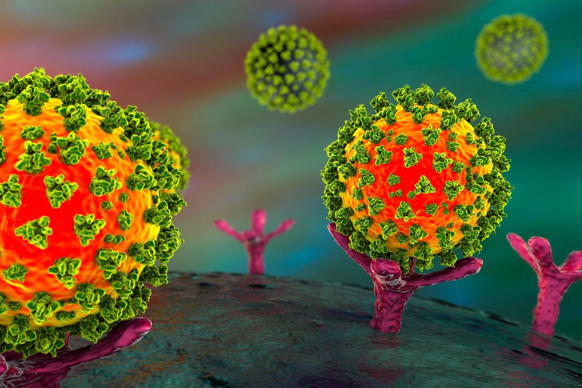 Study: Allosteric binders of ACE2 are promising anti-SARS-CoV-2 agents. Image Credit: Kateryna Kon/Shutterstock