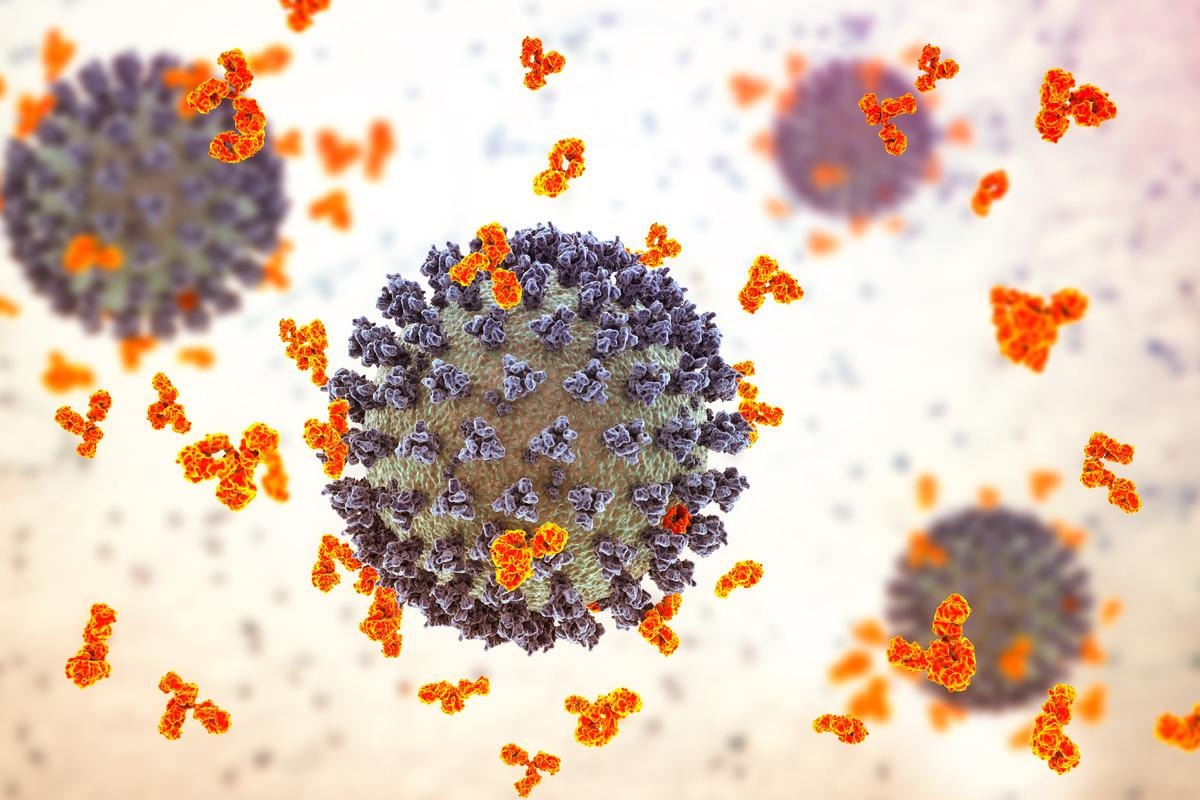 Study: 15-month follow-up of anti-spike receptor binding domain (RBD) SARS-CoV-2 antibodies among healthcare workers in Boston, MA. Image Credit: Kateryna Kon/Shutterstock