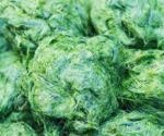 Algal metabolites as novel drugs against viruses