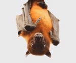 Bats carry some of the most virulent, but not the most dangerous zoonotic viruses