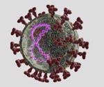 COVID-19 may affect a group of biochemical reactions called one-carbon metabolism
