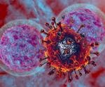Review aims to deepen the understanding of the role of natural killer cells in COVID-19