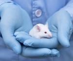 Testis tissue frozen for more than two decades can produce viable sperm after reimplantation