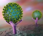 Researchers identify cellular serpins as host factors that restrict SARS-CoV-2 infection
