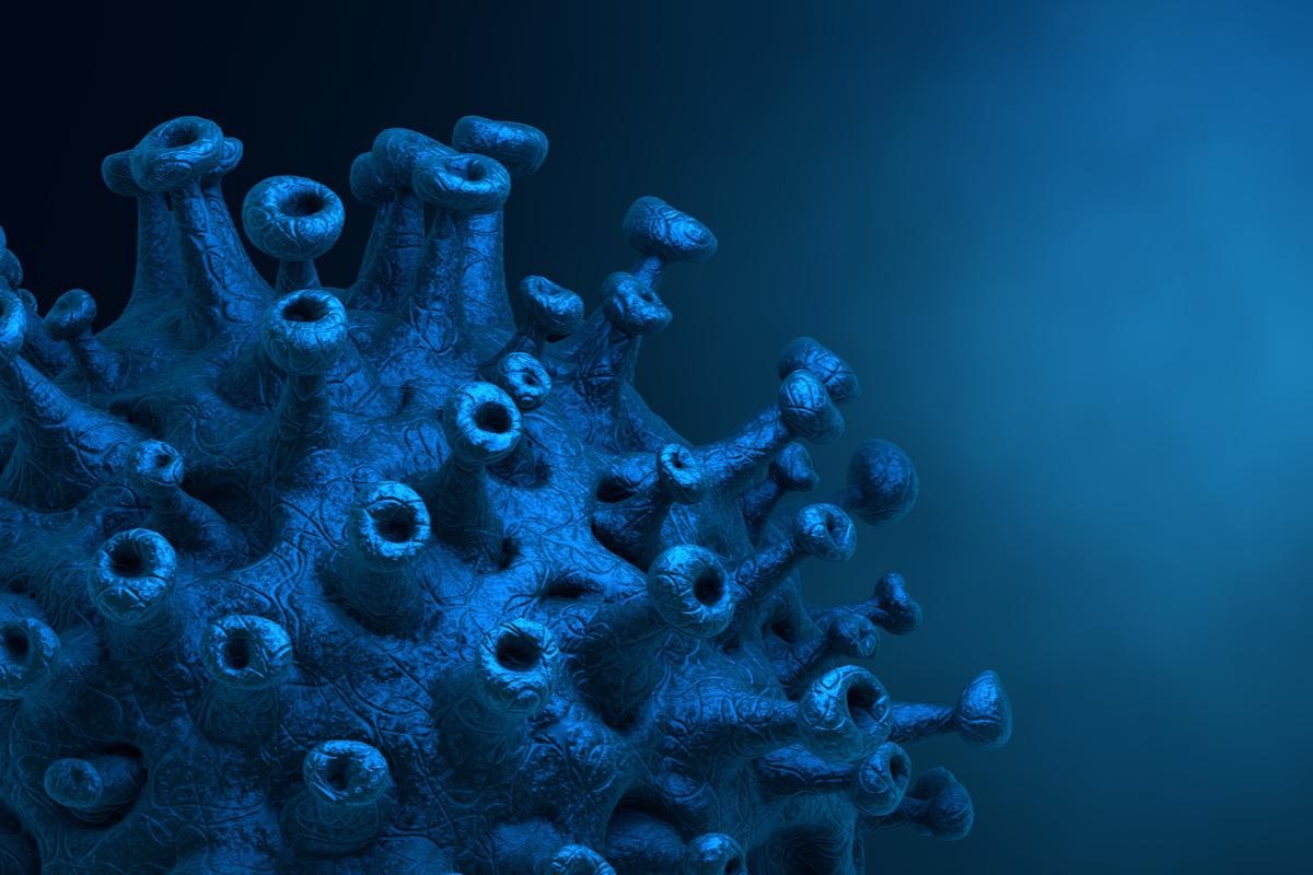 Study: Macromolecular Viral Entry Inhibitors as Broad-Spectrum First-Line Antivirals with Activity against SARS-CoV-2. Image Credit: CROCOTHERY/Shutterstock