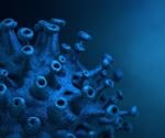 Study explores macromolecular viral entry inhibitors as broad-spectrum first-line antivirals with anti-SARS-CoV-2 activities