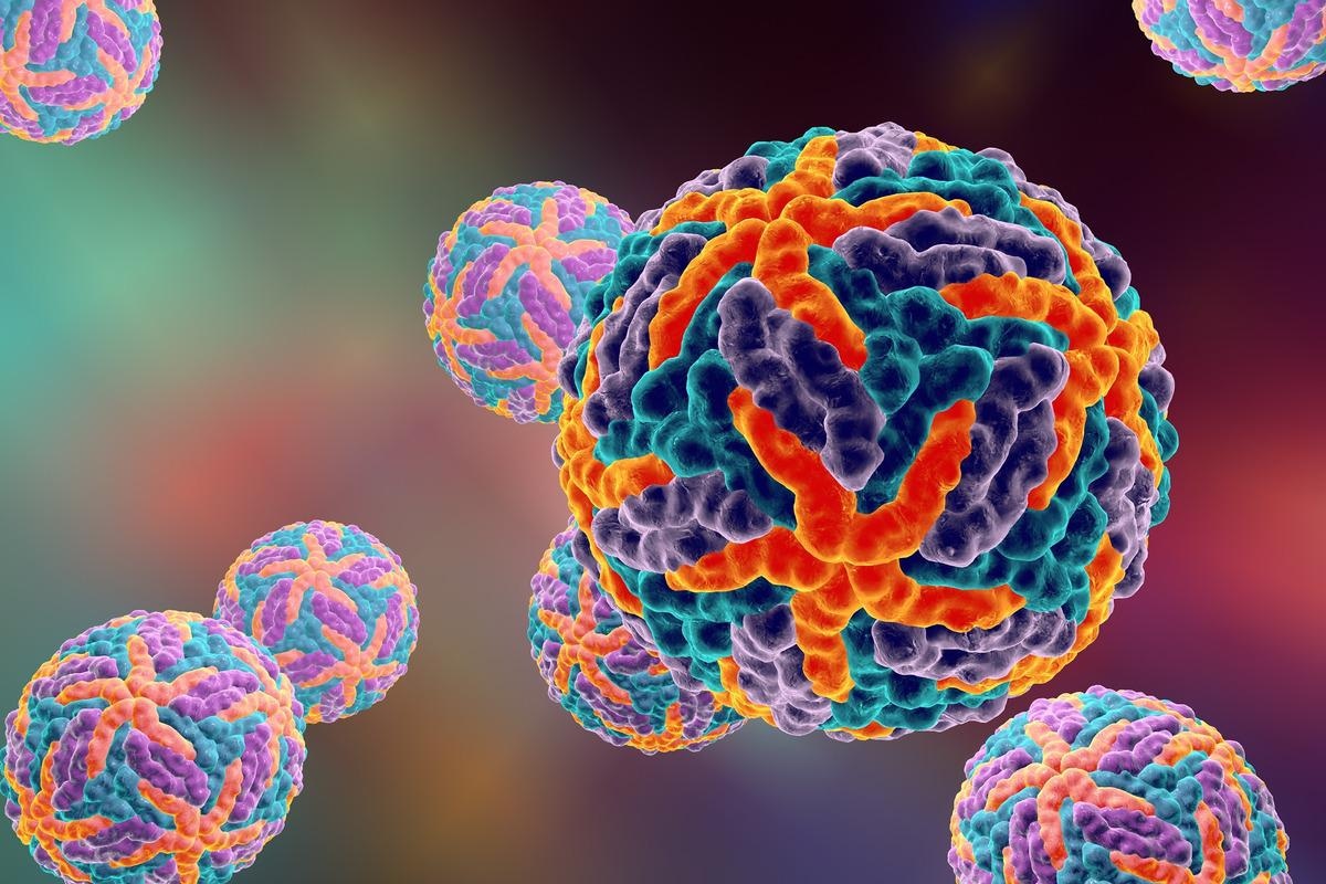 Study: Effects of Acute Dengue Infection on Sperm and Virus Clearance in Body Fluids of Men. Image Credit: Kateryna Kon/Shutterstock