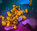 Broad-spectrum polymeric antivirals against SARS-CoV-2