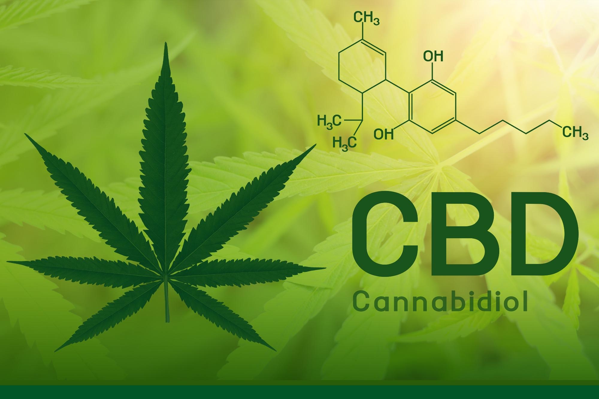Study: Effect of cannabidiol on apoptosis and cellular interferon and interferon-stimulated gene responses to the SARS-CoV-2 genes ORF8, ORF10 and M protein. Image Credit: 271 EAK MOTO / Shutterstock