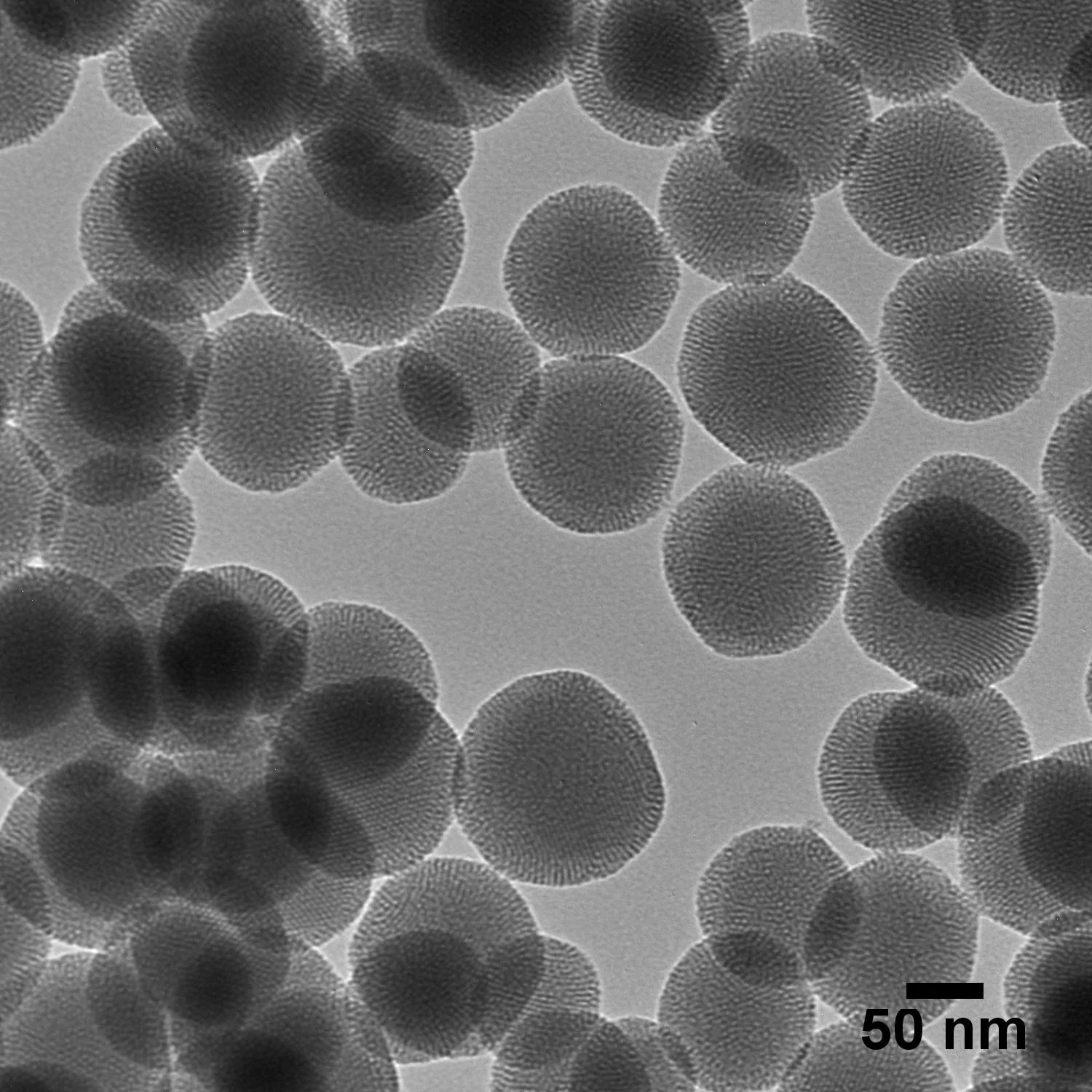 Image credit: nanoComposix - A Fortis Life Sciences Company