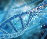 Conceptual framework to examine the patterns of copy number alterations in human cancer
