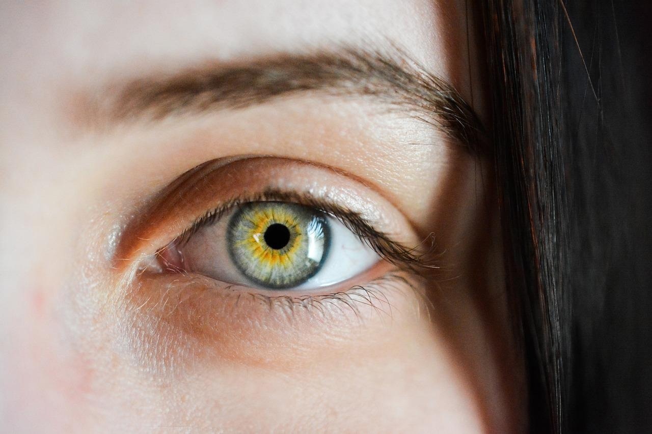 Specific retinal cell appears to be good at housing Ebola and other viruses
