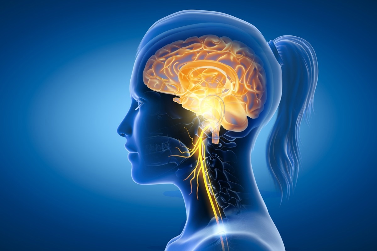 Study: A pilot randomized controlled trial of supervised, at-home, self-administered transcutaneous auricular vagus nerve stimulation (taVNS) to manage long COVID symptoms. Image Credit: Axel_Kock/Shutterstock