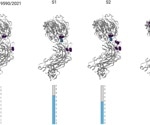 A cancer patient who had SARS-CoV-2 for over eight months