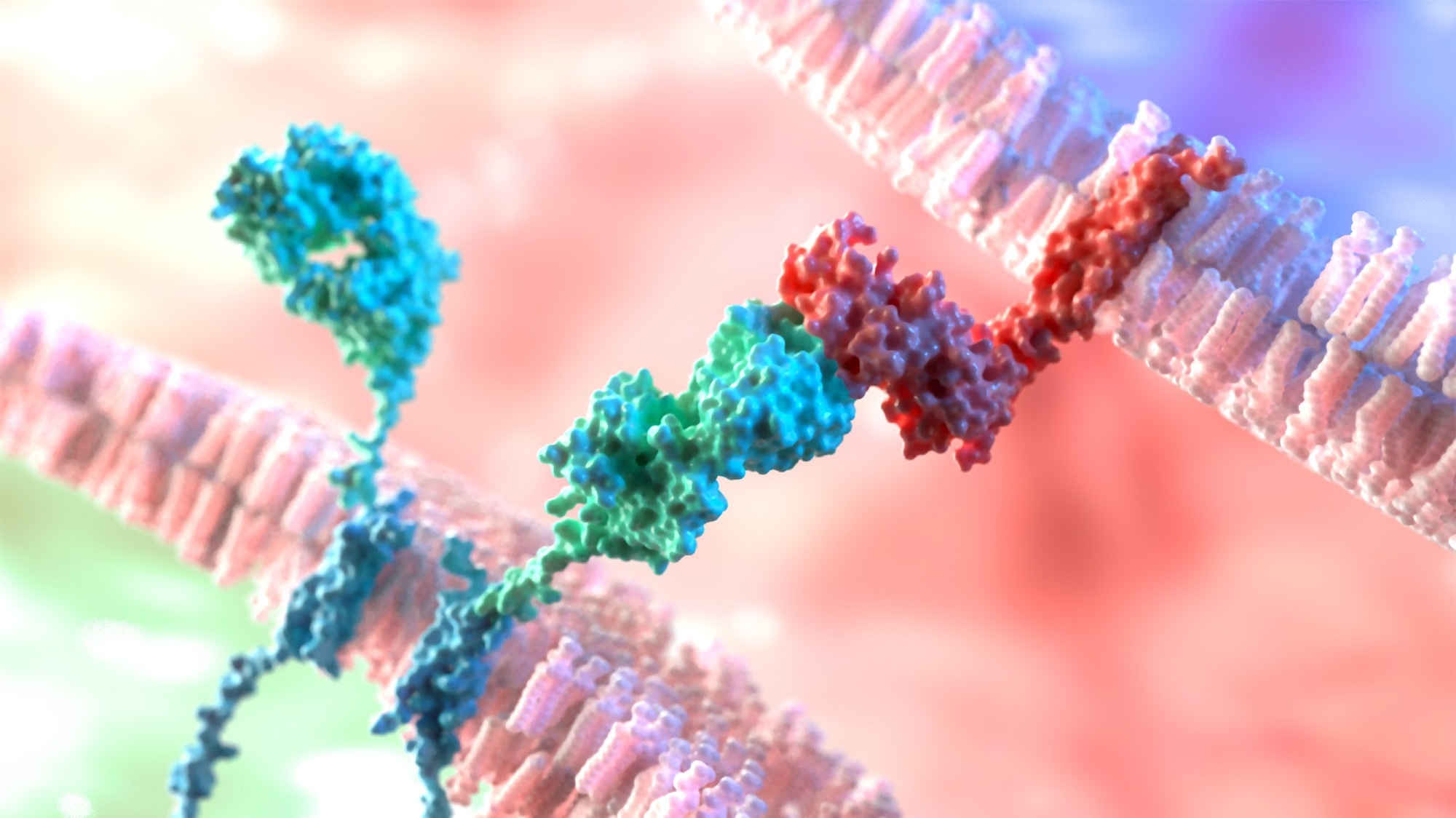 FTIR in biomedical applications