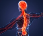 The effects and mechanisms of SARS-CoV-2 on the nervous system
